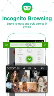 Dolphin Browser HD скриншот 4