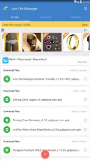 Ace File Manager скриншот 8