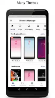 Themes Manager скриншот 1