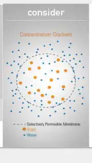 SPARKvue скриншот 8