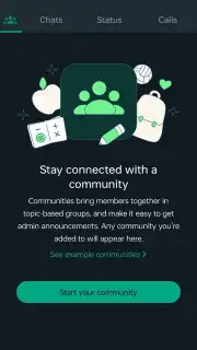 WhatsApp Messenger скриншот 29