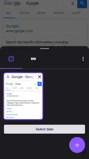 Iceraven Browser скриншот 10