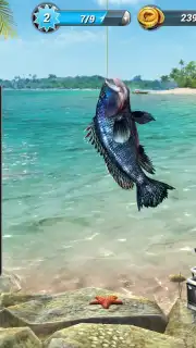 Fishing Clash скриншот 16