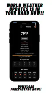 ForecastPro скриншот 3