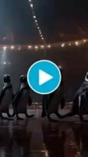 Hailuo AI скриншот 1