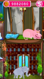 Pet Hotel скриншот 1