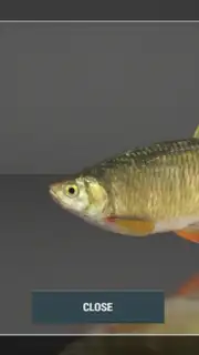 Fishing Planet скриншот 4