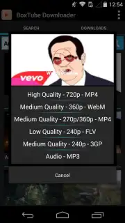 BoxTube Downloader скриншот 3