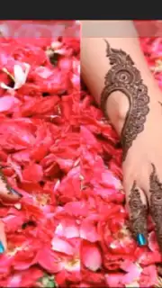 Mehndi Designs скриншот 1