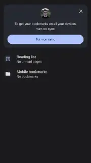 Chrome Beta скриншот 7