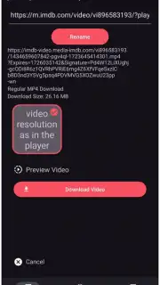 VidMad Video Downloader скриншот 3