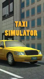 Taxi Driver 3D Simulator скриншот 1