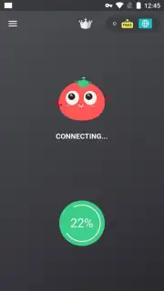 VPN Tomato скриншот 1