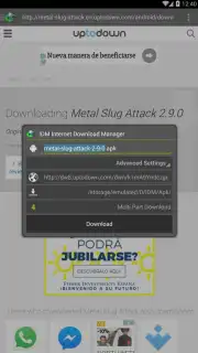 IDM скриншот 2