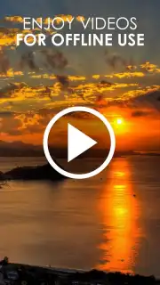 HD Video Downloader Free скриншот 1