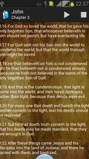 Holy Bible King James Version скриншот 6
