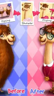 Animal Hair Salon скриншот 4