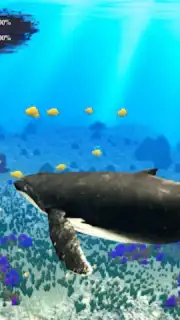 The Humpback Whales скриншот 1
