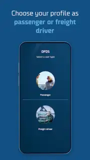 DFDS скриншот 8