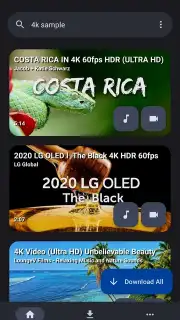 YTDLnis скриншот 1