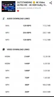 YVideo Downloader скриншот 4
