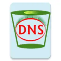 Flush DNS