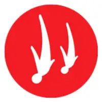 Veriflite